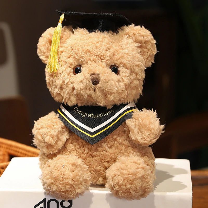 Tốt nghiệp gấu Teddy